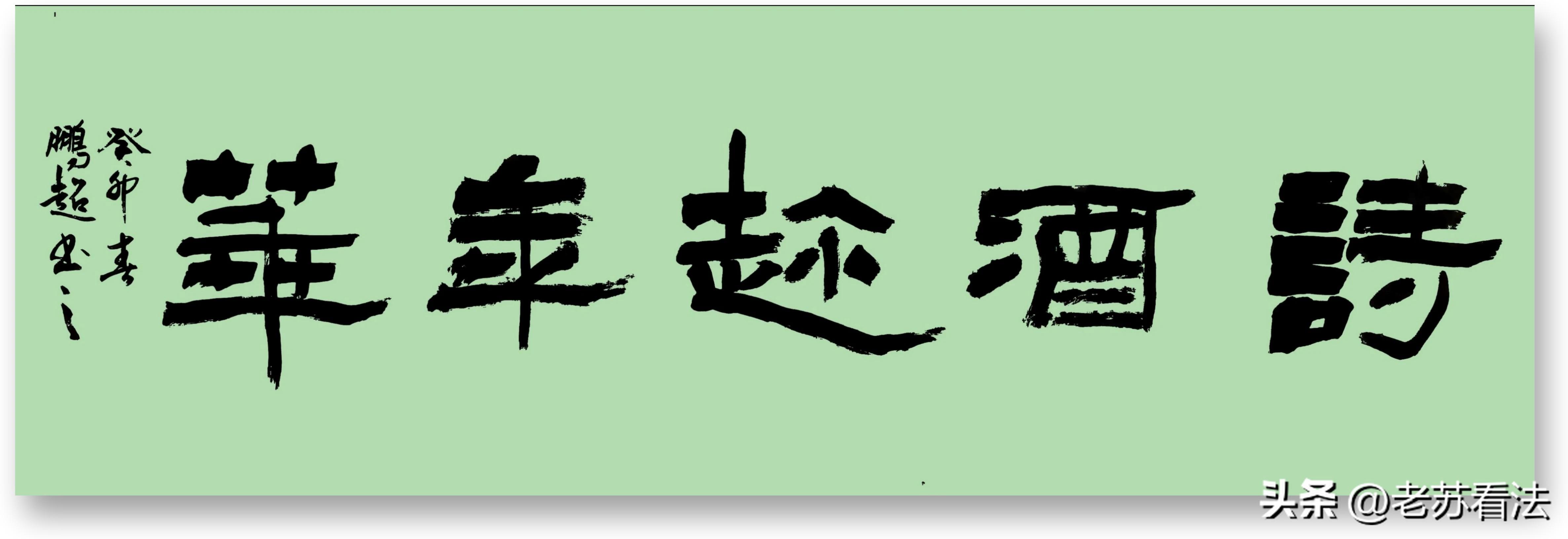 陕西省书协会员书法家——安鹏超书法欣赏！(图10)