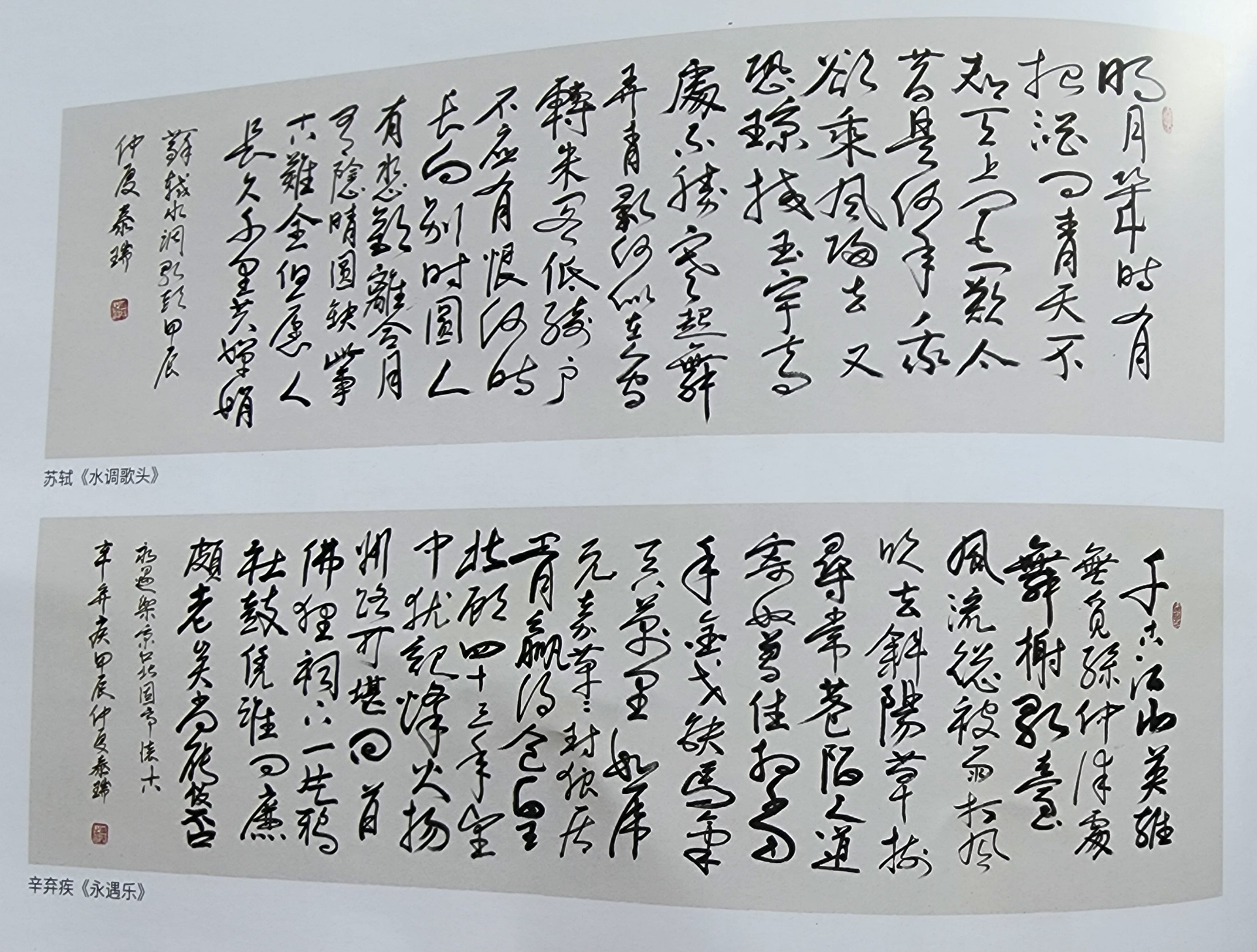 20250520_101317.jpg