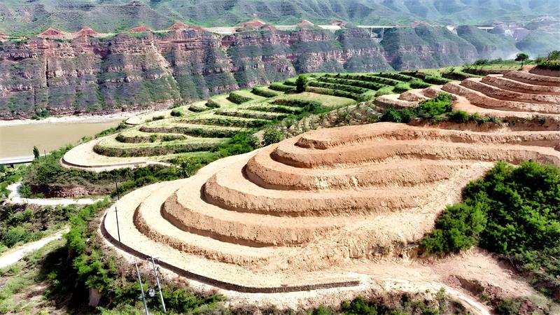 黄河沿岸，宜川县新修建的梯田和防护石坎。李文振摄_proc.jpg