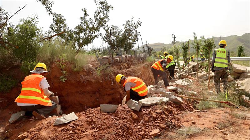 在宜川县集义镇流湾头村的晋陕大峡谷生态修复现场，工人们正在垒砌花椒地防护石坎。李文振摄_proc.jpg