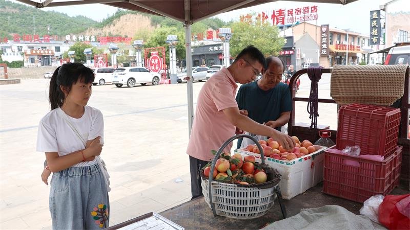 果农李顺荣（右一）热情向游客推介苹果。_proc.jpg