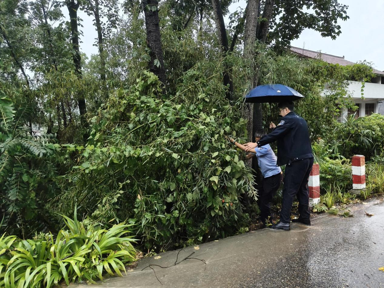 “快”字当头!多图直击→勉县公安防汛避险护平安(图5) 图片5.png
