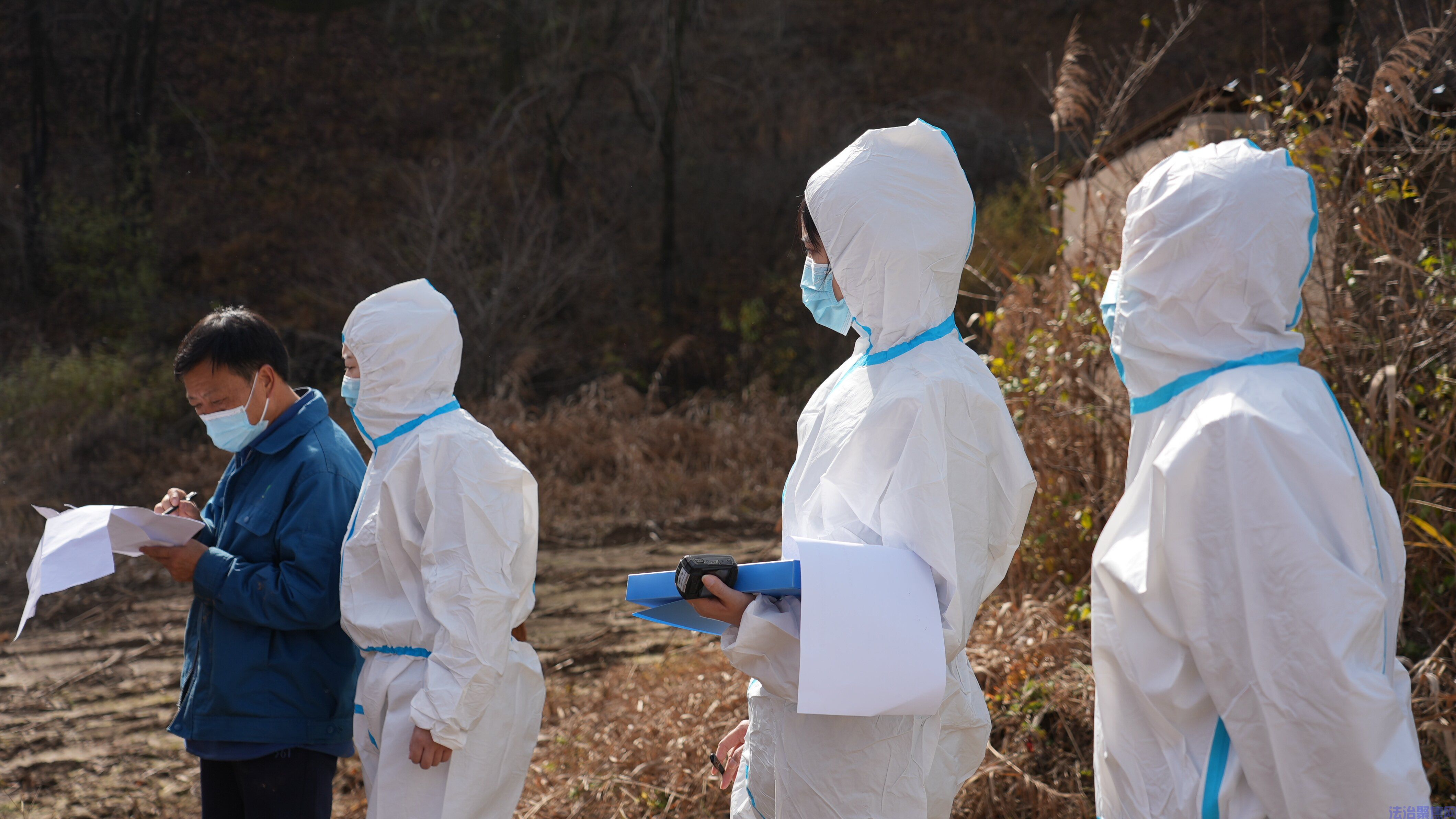 西安、延安海关工作人员对出口港澳肉牛进行现场检验 (2)_proc.jpg