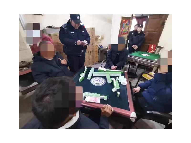 陕西商南公安富水派出所抓获13名涉赌人员