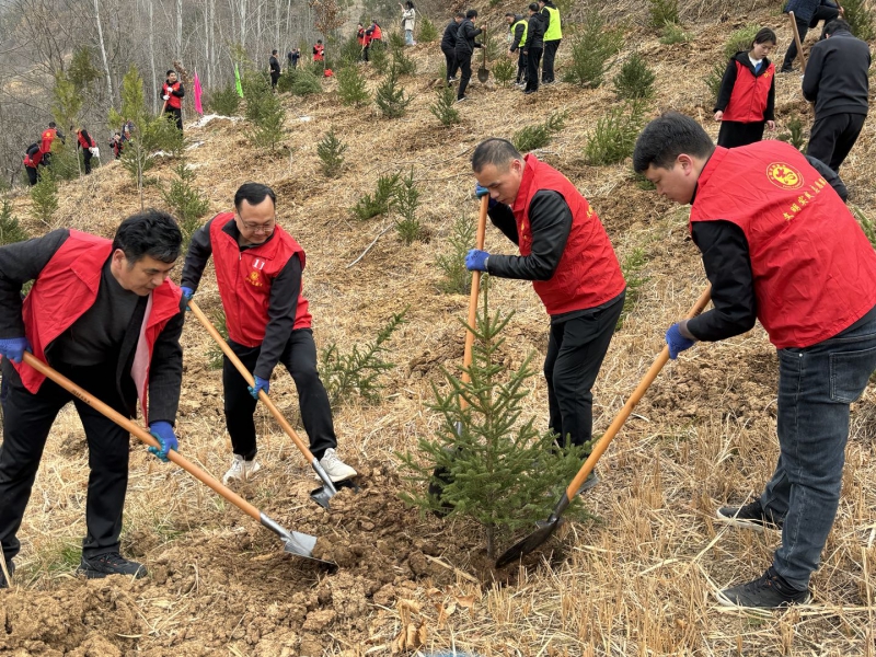 柞水县委组织部赴凤凰镇清水村开展义务植树活动 为第47个植树