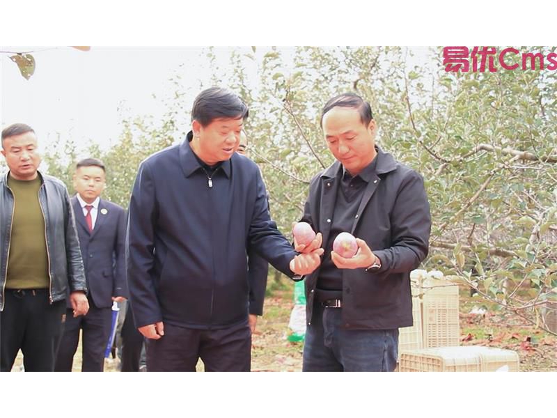 陕西洛川县人民检察院：深入帮扶村调研乡村振兴工作 开展平安建