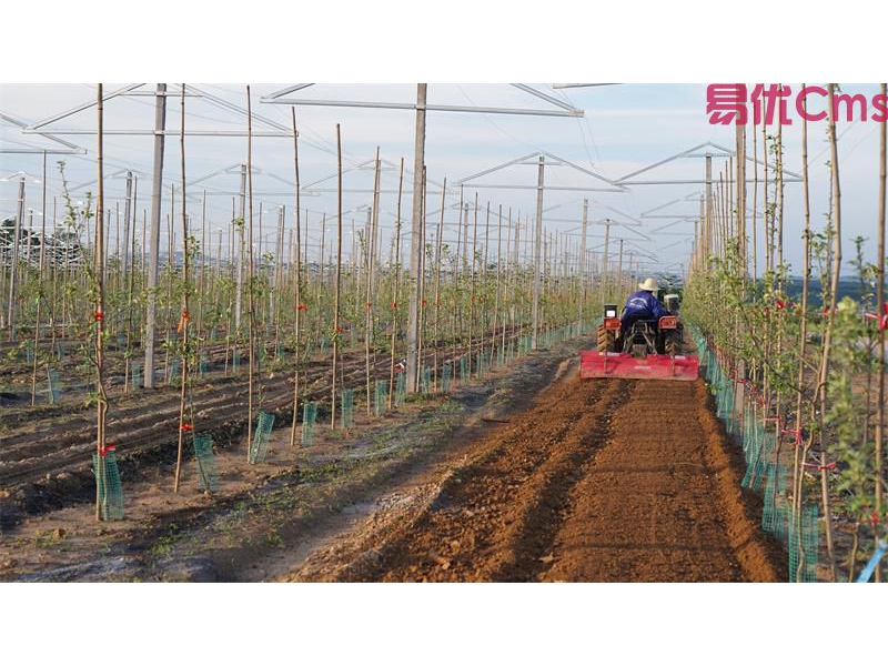 黄河岸边“礼”焕新 移风易俗润乡土 ——宜川县云岩镇殡葬改革