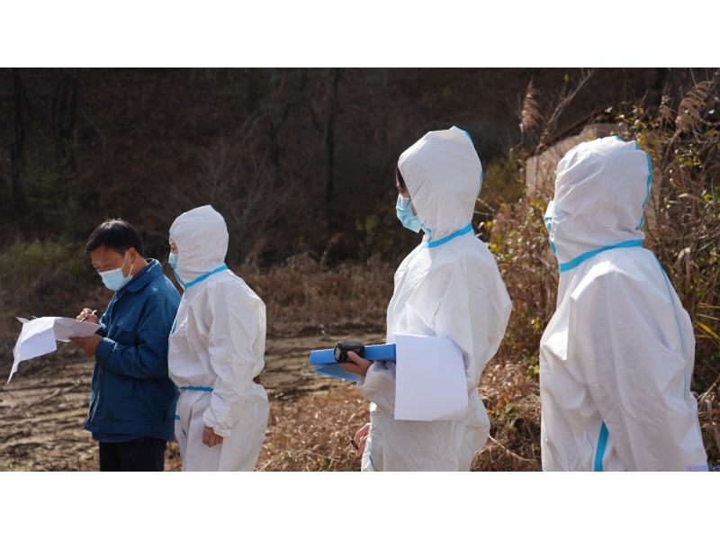 陕西宜川县供港澳肉牛首批交付实现零突破 特色产业助力乡村振兴再启新程