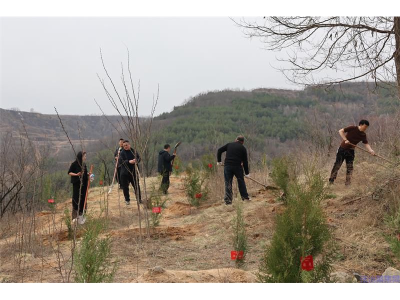 共育同心林 助力新发展 陕西宜川县统一战线开展义务植树活动