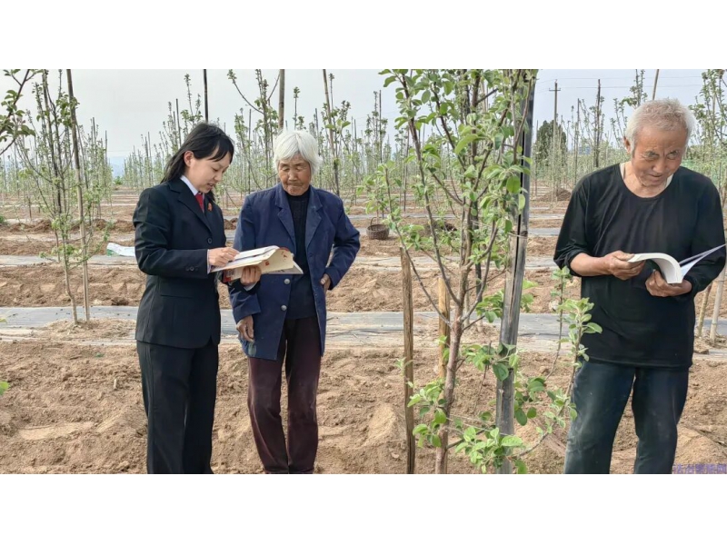 陕西延川县法院：普法宣传进果园 司法服务暖民心