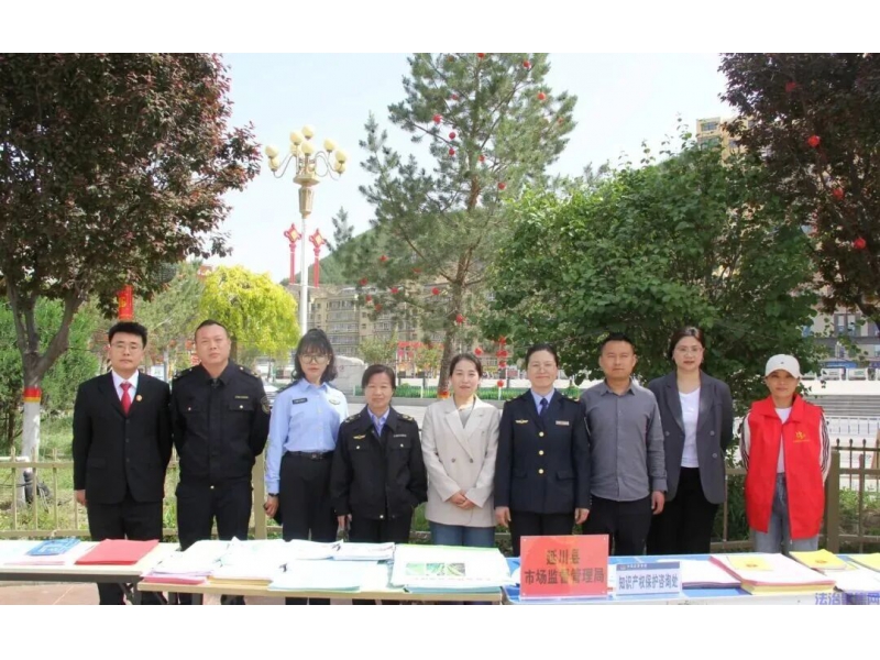 陕西延川县法院开展知识产权普法宣传活动