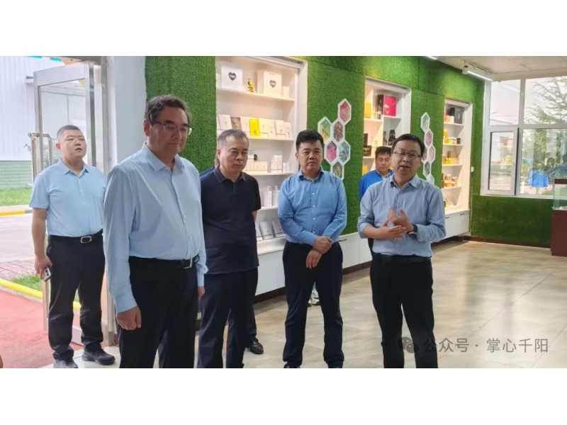 陕西省政协副主席张晓光来千阳县开展专题调研