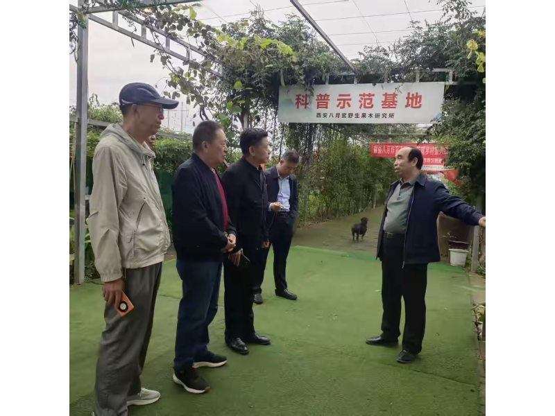 跨越地域谋合作  情谊交融促发展   王天保率团考察八月蜜野