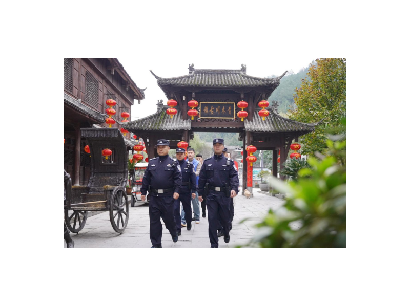 宁强公安：持续做实“主防警务” 擦亮平安底色