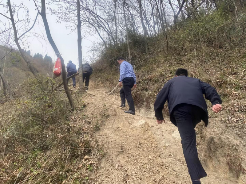 耕牛走失村民急，民警寻回解民忧