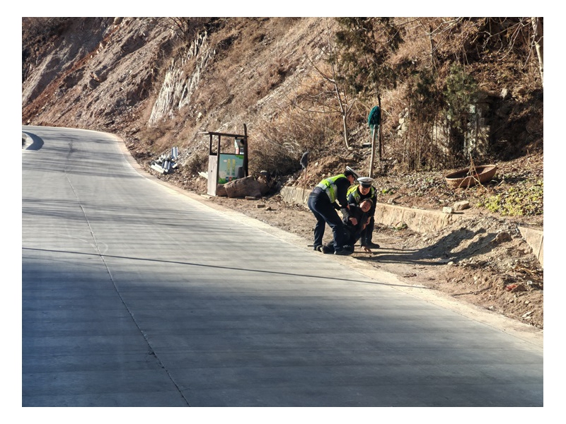 【暖心警事】老人不慎摔倒，交警路遇救护